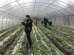 -洪湖家庭农场·团建·露营·会议