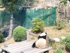 -大连森林动物园