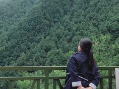 -苍山感通索道
