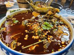 -青城甲(青城山店)