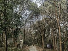 -上海佘山国家森林公园天马山园