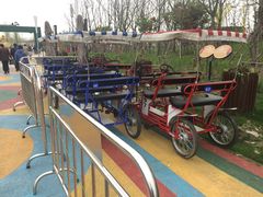 -上海浦江郊野公园-2号停车场