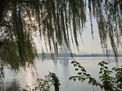 -金银湖国家城市湿地公园