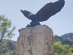 -北京鹫峰国家森林公园