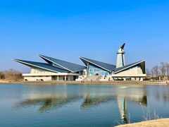 -盐城丹顶鹤湿地生态旅游区