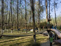 -合肥滨湖国家森林公园