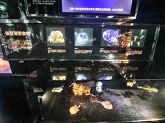 -同济大学四平路校区深海探索馆