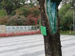 -阿哈湖国家湿地公园