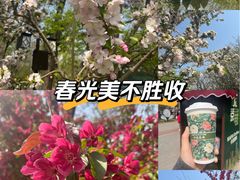 -宣武艺园