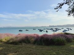 -海源公园