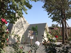 -安德鲁户外烧烤帐篷营地(马泉营店)