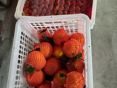 -西郊国际农产品交易中心