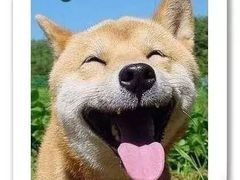 -凯德广场(武胜路店)