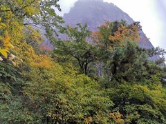 -秦岭天竺山景区