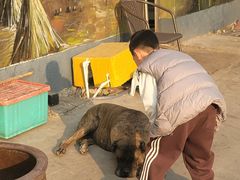 -李东农庄(中南百草园地标店)