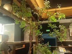 -滇铺子·云南特色菜·鲜花野菜季(曲靖万达店)
