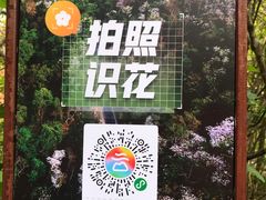 -野象谷景区