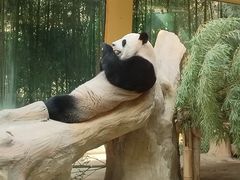 -杭州野生动物世界