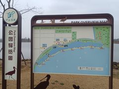 -巢湖姥山岛