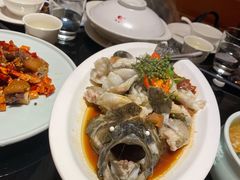 青花椒蒸龙胆鱼-闽和南(深圳万象城店)