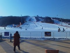 -东北亚滑雪场