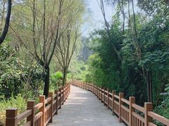 -铁山坪森林公园