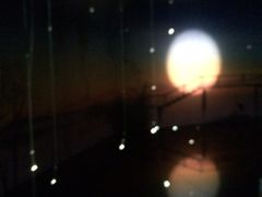 iphone_upload_pic-溱湖国家湿地公园