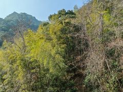 -天明山温泉大酒店