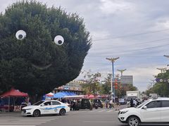 -特克斯八卦城