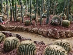 -呀路古热带植物园