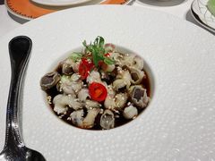 -鹿园 MOOSE(长宁店)