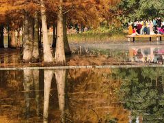 -白鹭湾湿地公园