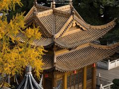 -上海东林寺(金山区)