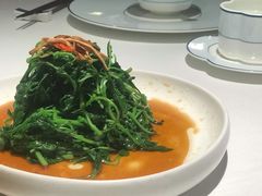 南京菊花脑-民国红公馆·秦淮八艳(夫子庙店)