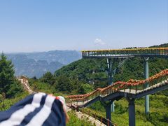 -王莽岭风景区