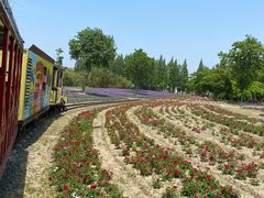 -歌斐颂巧克力小镇