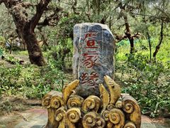 -北海金海湾红树林生态旅游区