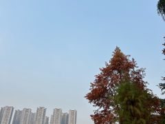 -重庆彩云湖湿地公园
