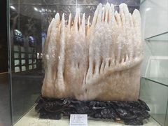 -本溪水洞