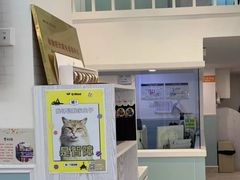 -纳吉亚猫专科动物医院·北北分院