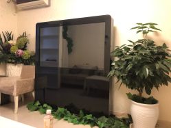 -紫洁俪方（北京）医疗美容