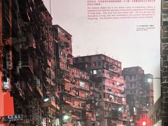-九龙寨城公园