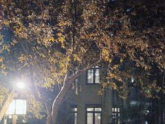 -萬國春·中菜馆(颐和公馆店)
