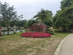 -鹅湖玫瑰文化园
