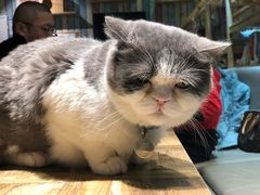 -小时光咖啡馆(开森度假森林店)