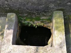 -崖口云吞(中堡店)