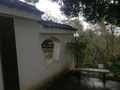 -南山植物园