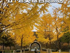 -金陵图书馆