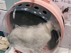 -纳吉亚猫专科动物医院·北北分院