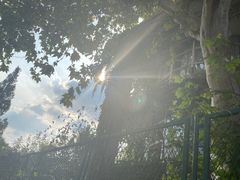 -有间冰室(侨港风情街店)